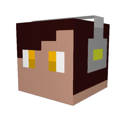 Hydrocephal Minecraft avatar head, 3D render