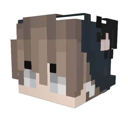 Hydrogen9637 Minecraft avatar head, 3D render