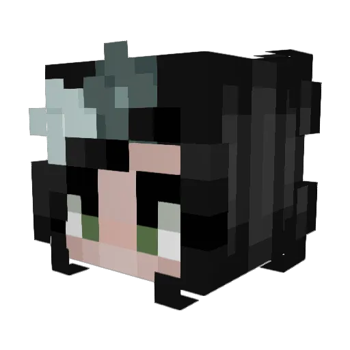 Hydrola Minecraft avatar head, 3D render