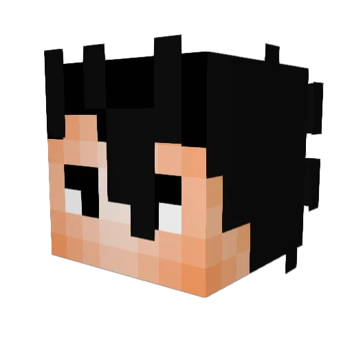 Hydrolics Minecraft avatar head, 3D render