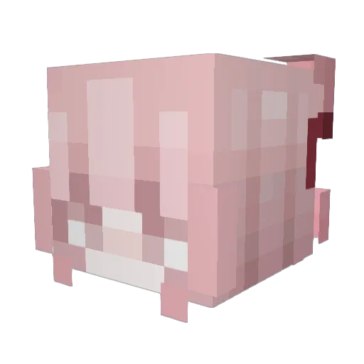 Hydrolnix Minecraft avatar head, 3D render