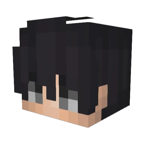 Hydroniium Minecraft avatar head, 3D render