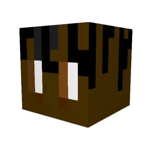HydrooFn Minecraft avatar head, 3D render