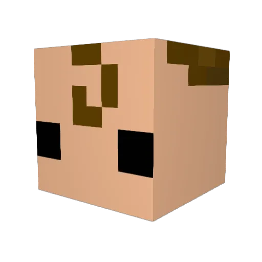 HydrophobicWater Minecraft avatar head, 3D render