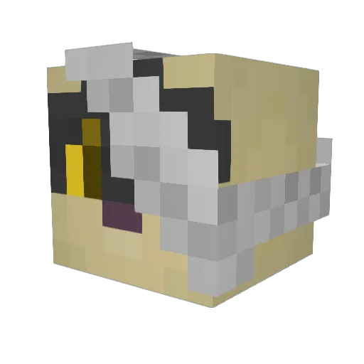 Hyena1400 Minecraft avatar head, 3D render