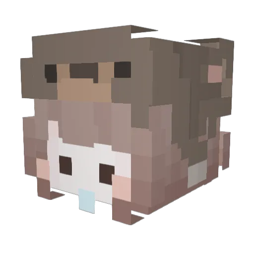 Hyeon_b Minecraft avatar head, 3D render