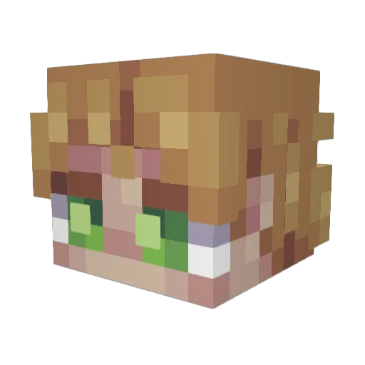 Hyfs Minecraft avatar head, 3D render