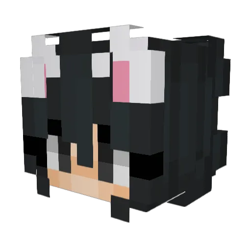 Hykkyy Minecraft avatar head, 3D render