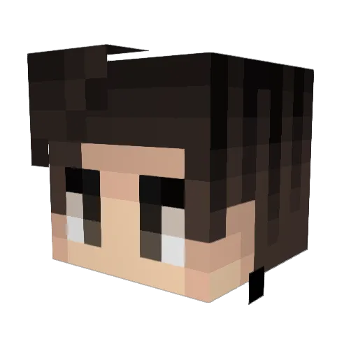 Hylark Minecraft avatar head, 3D render
