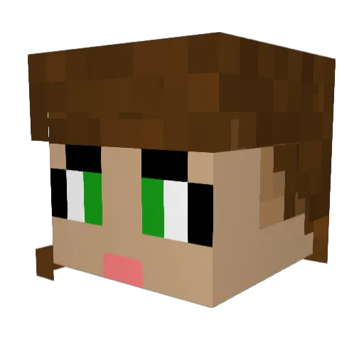 Hylian_baker Minecraft avatar head, 3D render