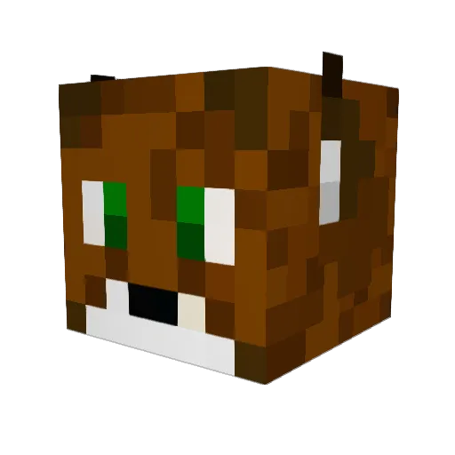 Hylke212 Minecraft avatar head, 3D render