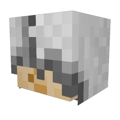 HyllianTV Minecraft avatar head, 3D render