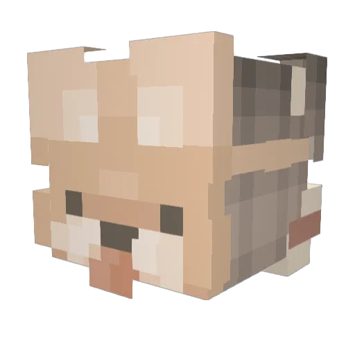 Hymiko Minecraft avatar head, 3D render