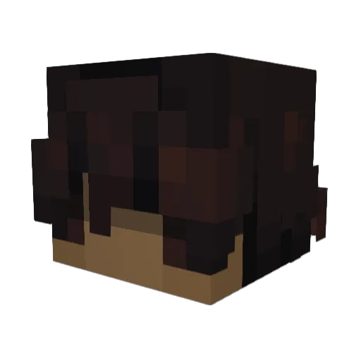 Hynathal Minecraft avatar head, 3D render