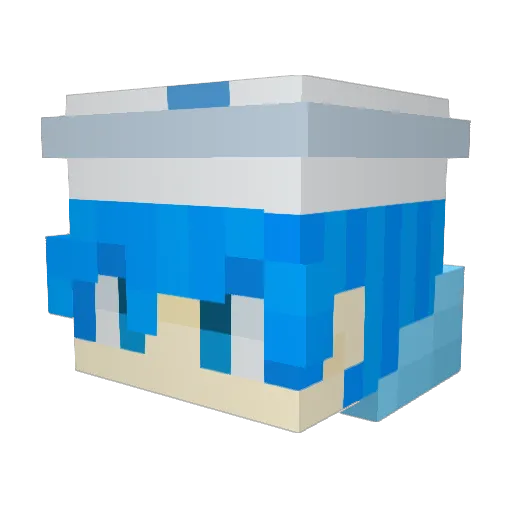 Hynlee09 Minecraft avatar head, 3D render