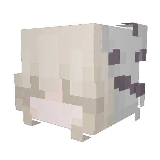 Hynnah Minecraft avatar head, 3D render