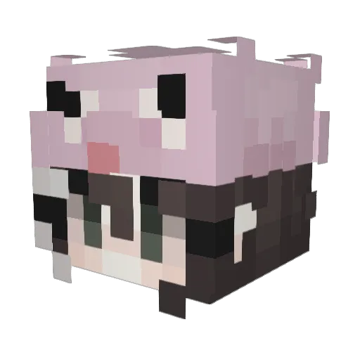 Hyohaki Minecraft avatar head, 3D render
