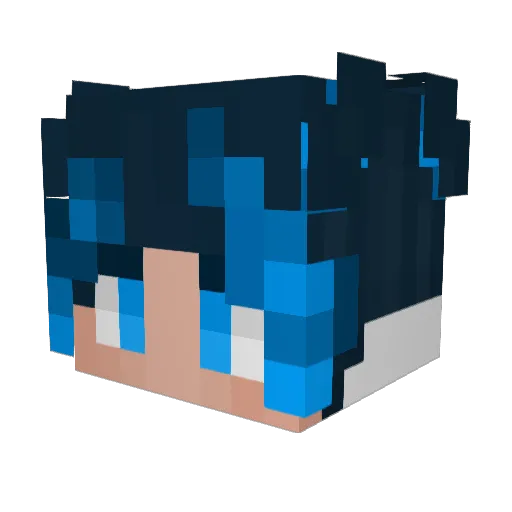 Hyp3rn0va333_ Minecraft avatar head, 3D render
