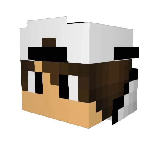 Hypaholic Minecraft avatar head, 3D render