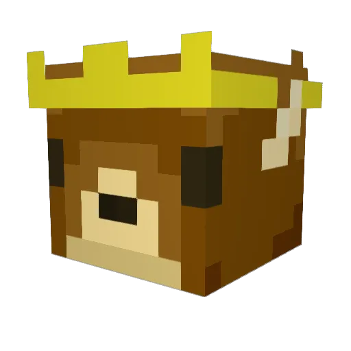 HypeIV Minecraft avatar head, 3D render