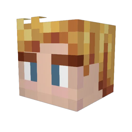HypeSpeed16 Minecraft avatar head, 3D render