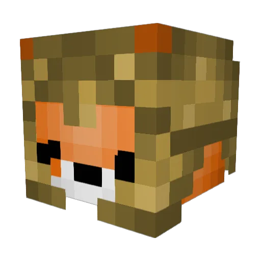 HypeXon Minecraft avatar head, 3D render