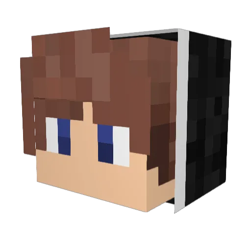 Hype_XD Minecraft avatar head, 3D render