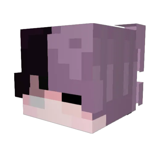 Hyper1017 Minecraft avatar head, 3D render