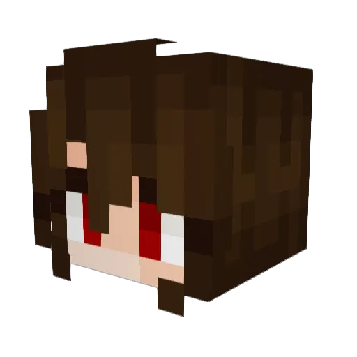 Hyper110 Minecraft avatar head, 3D render