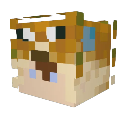 HyperAndrew21 Minecraft avatar head, 3D render