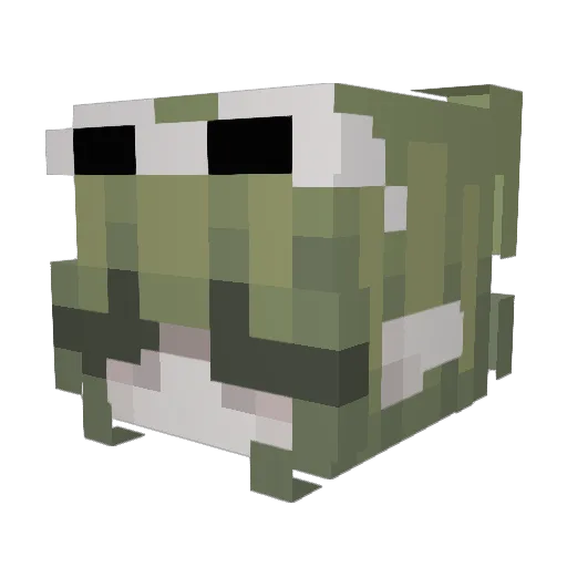 HyperCascade587 Minecraft avatar head, 3D render