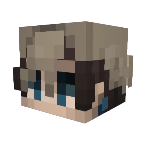 HyperConTuco Minecraft avatar head, 3D render