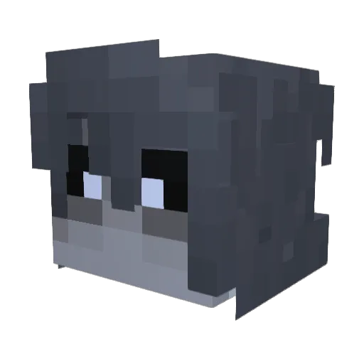 HyperCryptic360 Minecraft avatar head, 3D render