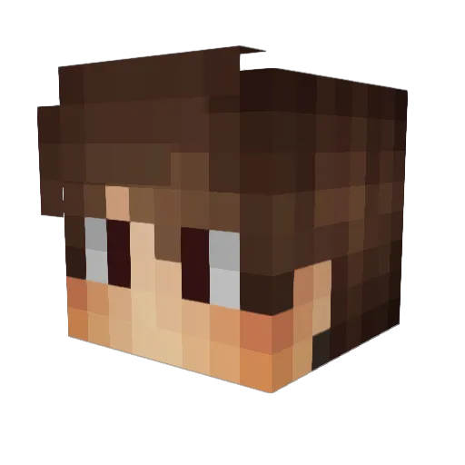 HyperDistro Minecraft avatar head, 3D render