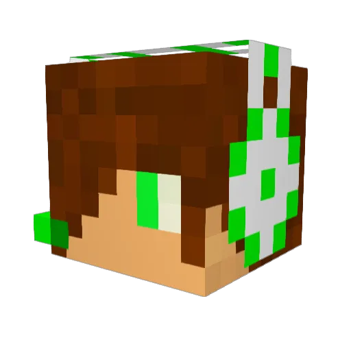 HyperDrive64 Minecraft avatar head, 3D render
