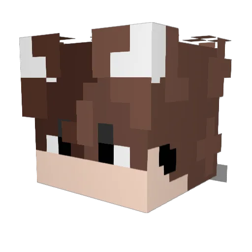 HyperEndriu Minecraft avatar head, 3D render