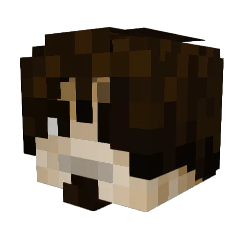 HyperMat1412 Minecraft avatar head, 3D render