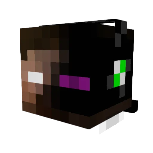 HyperSquid Minecraft avatar head, 3D render