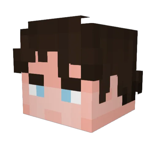HyperToast Minecraft avatar head, 3D render