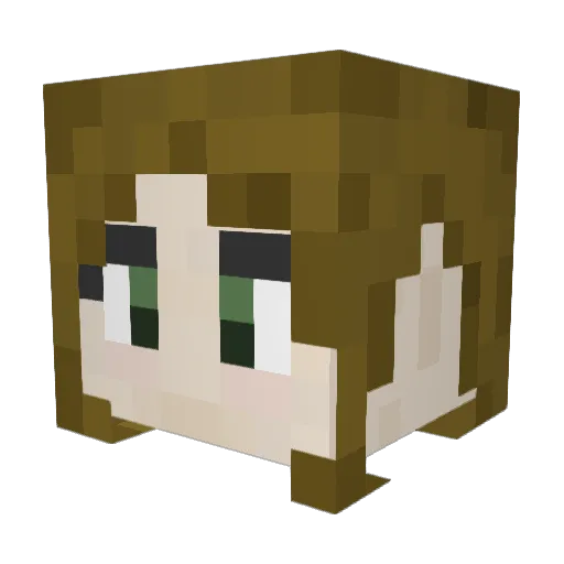 Hyper_Flare229 Minecraft avatar head, 3D render