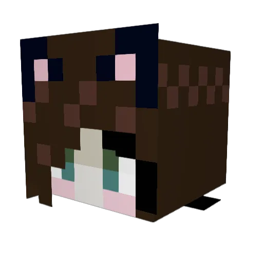 HyperactiveBrat Minecraft avatar head, 3D render