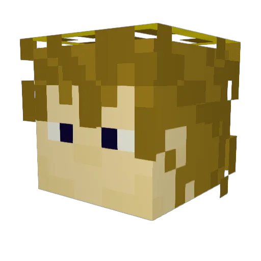 Hyperfozzybear Minecraft avatar head, 3D render