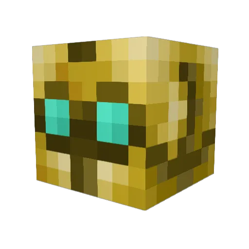 Hyperion4303 Minecraft avatar head, 3D render
