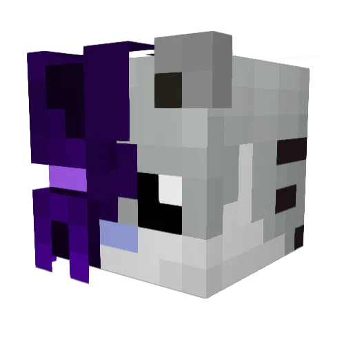 HyperiumP0wer Minecraft avatar head, 3D render