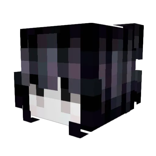 Hyperluna_217 Minecraft avatar head, 3D render