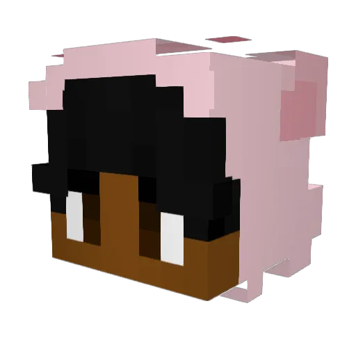 Hyperpigggy Minecraft avatar head, 3D render