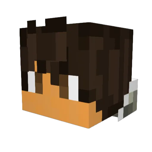 Hypertjeh Minecraft avatar head, 3D render