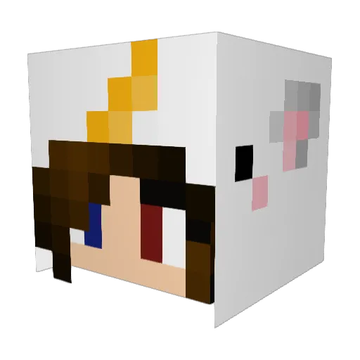 HyperxIrrelevant Minecraft avatar head, 3D render