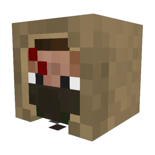 Hypix_YTB Minecraft avatar head, 3D render