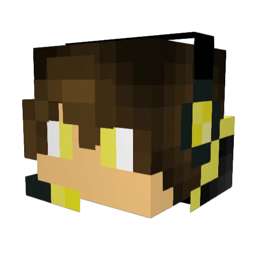 HypixelLover1000 Minecraft avatar head, 3D render